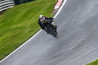 PJ-Motorsport-Photography-2020;anglesey;brands-hatch;cadwell-park;croft;donington-park;enduro-digital-images;event-digital-images;eventdigitalimages;mallory;no-limits;oulton-park;peter-wileman-photography;racing-digital-images;silverstone;snetterton;trackday-digital-images;trackday-photos;vmcc-banbury-run;welsh-2-day-enduro